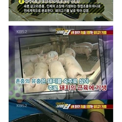 고기는 반드시 익혀먹자.jpg