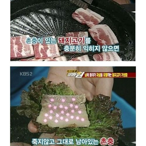 고기는 반드시 익혀먹자.jpg