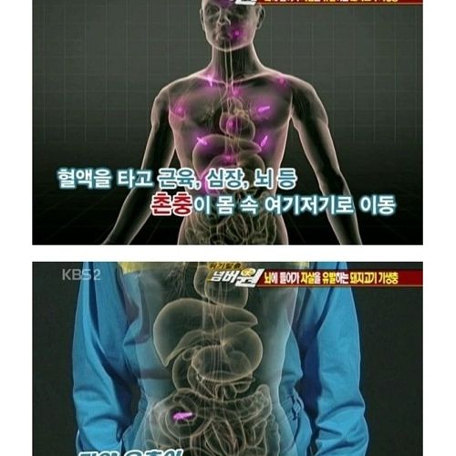 고기는 반드시 익혀먹자.jpg