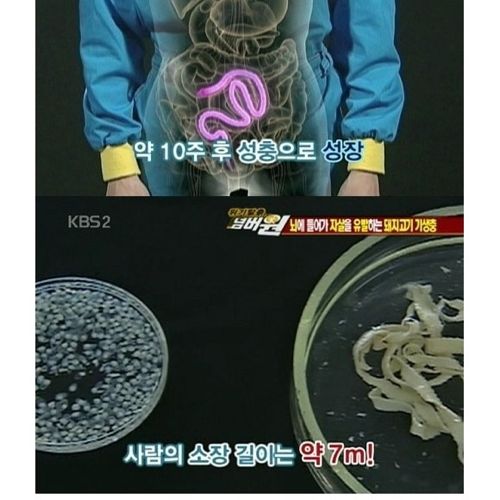 고기는 반드시 익혀먹자.jpg