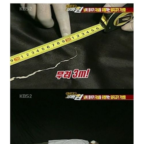 고기는 반드시 익혀먹자.jpg