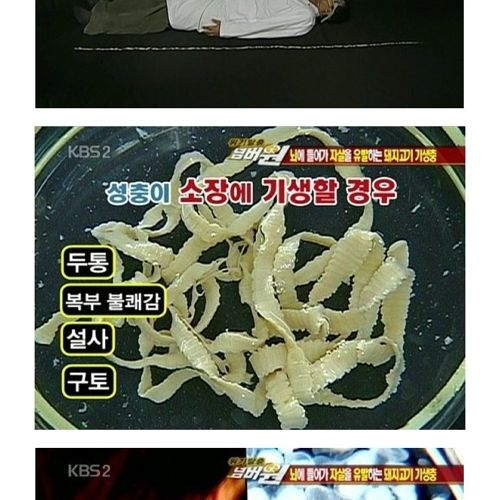 고기는 반드시 익혀먹자.jpg