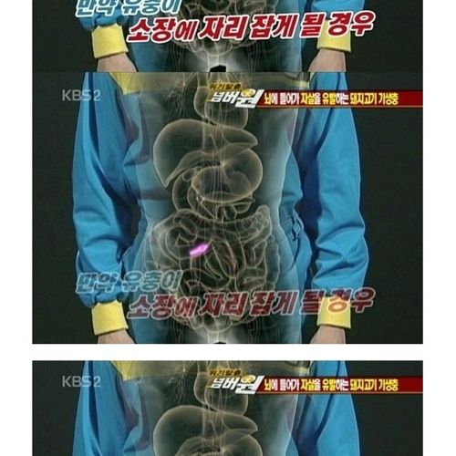 고기는 반드시 익혀먹자.jpg