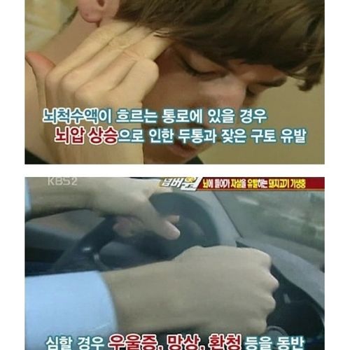 고기는 반드시 익혀먹자.jpg