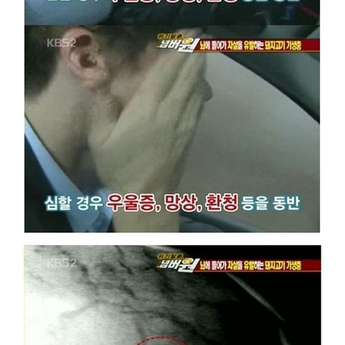 고기는 반드시 익혀먹자.jpg