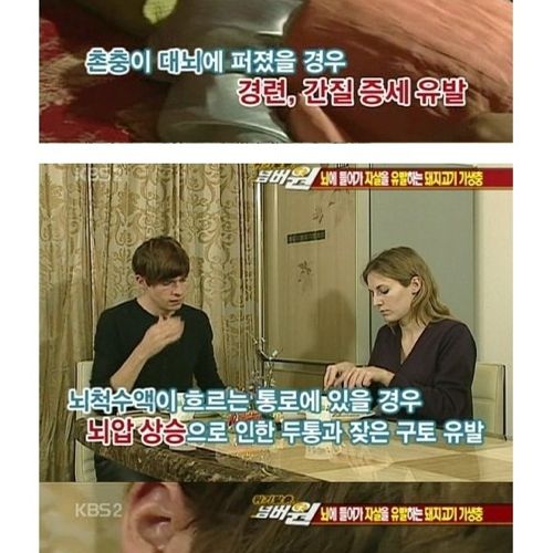 고기는 반드시 익혀먹자.jpg