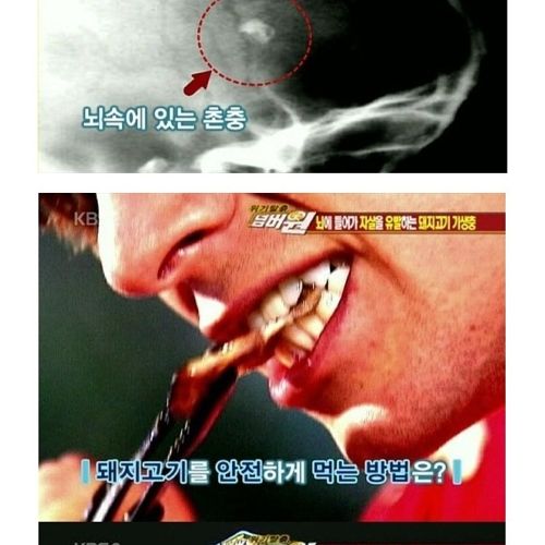 고기는 반드시 익혀먹자.jpg