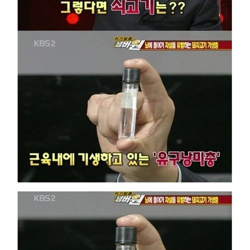 고기는 반드시 익혀먹자.jpg