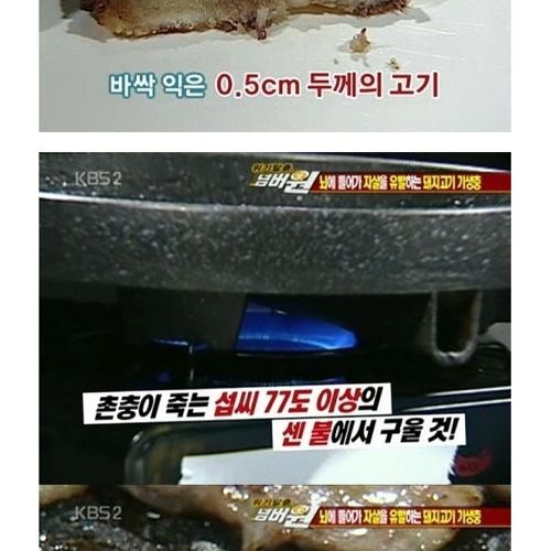 고기는 반드시 익혀먹자.jpg