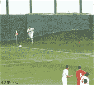 깡총깡총.gif