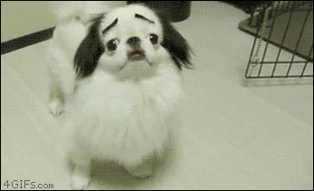 와..나 미치고 환장하겠네.gif