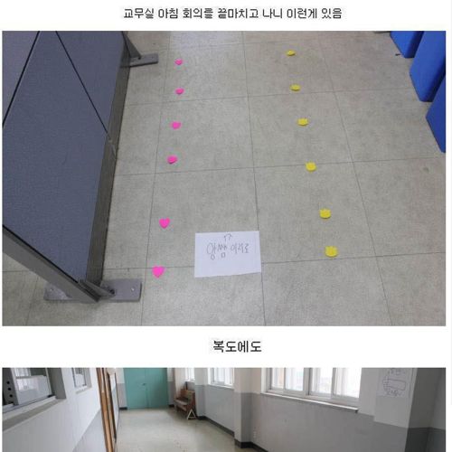 디시인의 스승의날.jpg