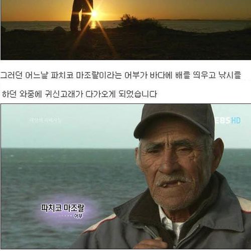 인간을 용서한 고래.jpg
