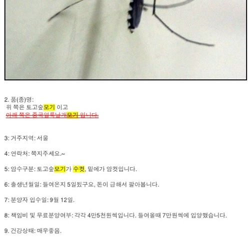 분양합니다.jpg