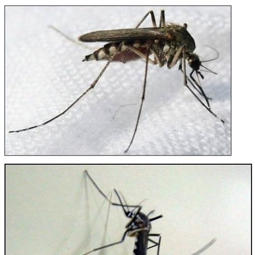 분양합니다.jpg