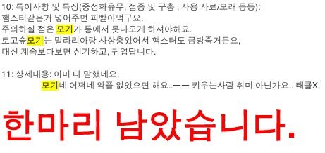 분양합니다.jpg