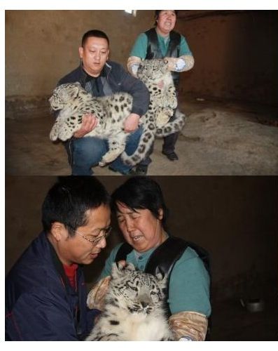흰고양이를 잡았어요.jpg