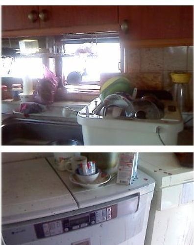복분자 폭발.jpg