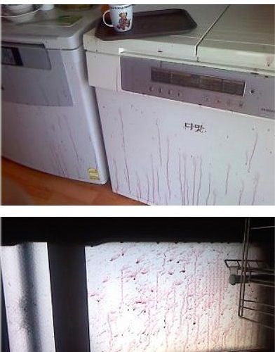 복분자 폭발.jpg