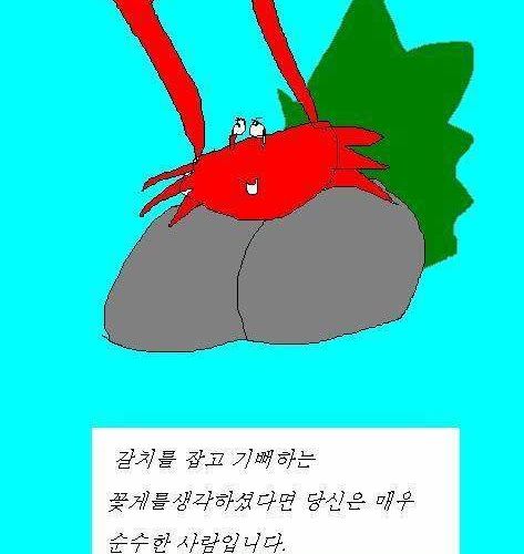 무엇이 떠오르시나요?.jpg