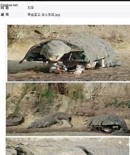목숨걸고 코스프레.jpg