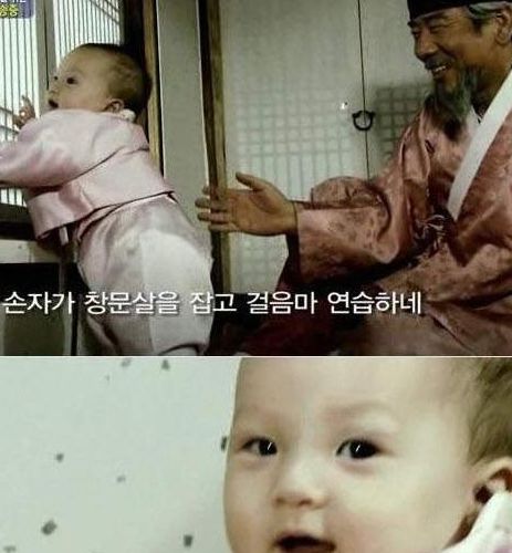 조선 시대 할아버지의 육아일기