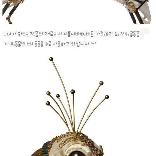 [스압]동물뼈로 만든 예술작품