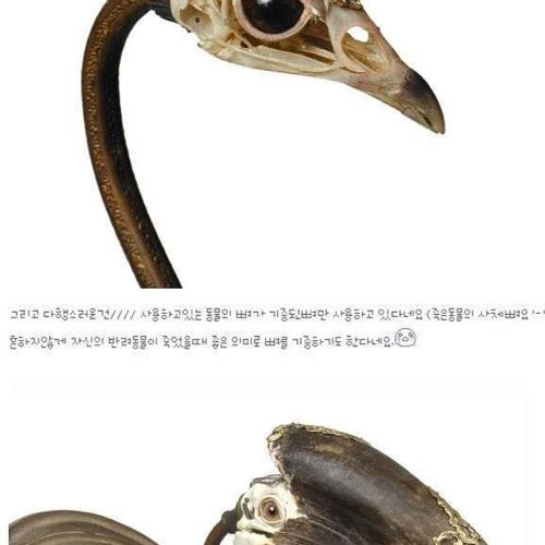 [스압]동물뼈로 만든 예술작품