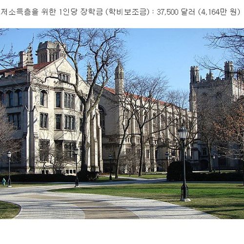 천조국 대학교 등록금  Top10