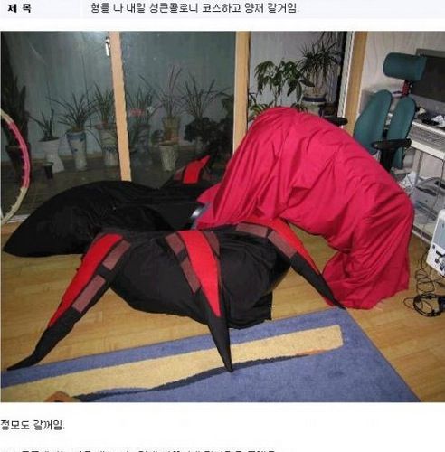 잉어력 발산.jpg