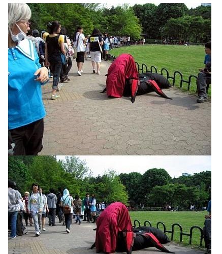 잉어력 발산.jpg