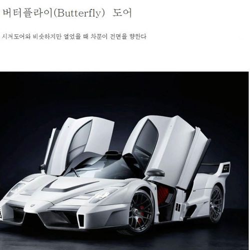 자동차 도어의 종류.jpg