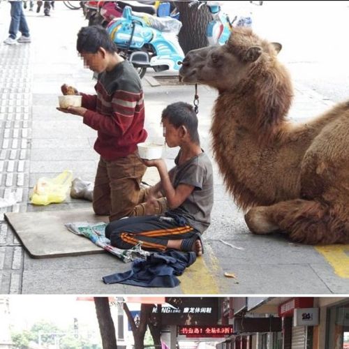 대륙의 구걸.jpg