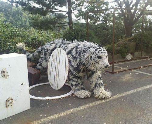 케이블 타이거.jpg