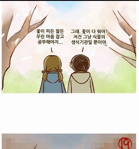 꽃의 재해석.jpg