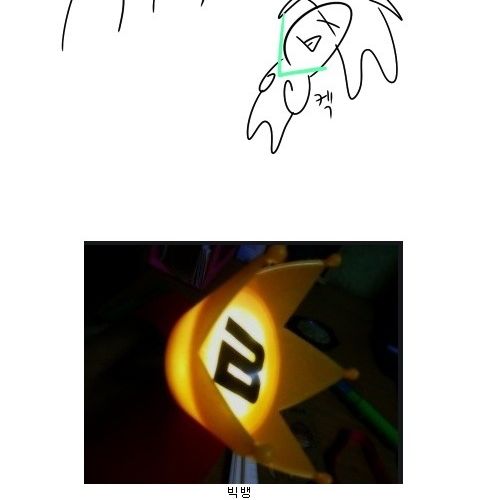 아이돌 팬들의 무기.jpg