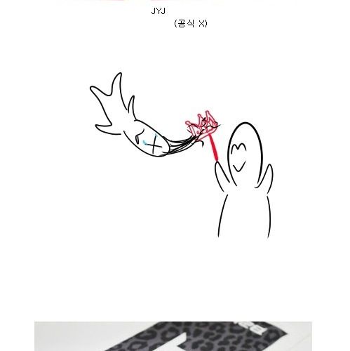 아이돌 팬들의 무기.jpg