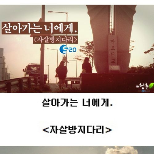 [스압]생명의 다리.jpg