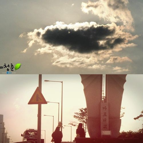 [스압]생명의 다리.jpg