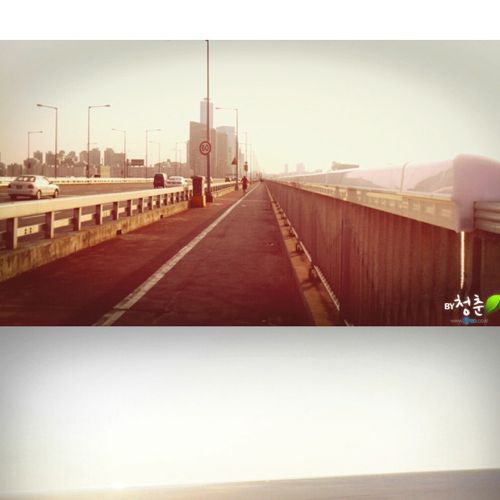 [스압]생명의 다리.jpg