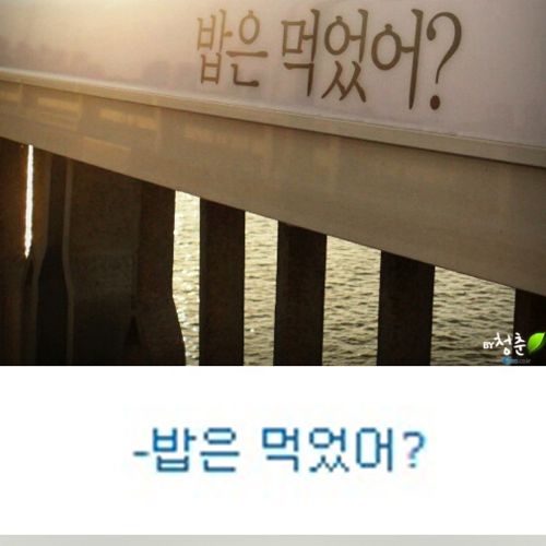 [스압]생명의 다리.jpg