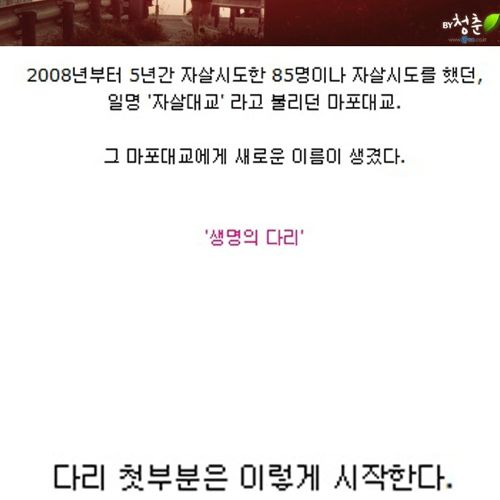 [스압]생명의 다리.jpg