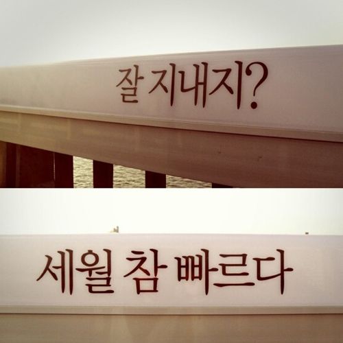[스압]생명의 다리.jpg