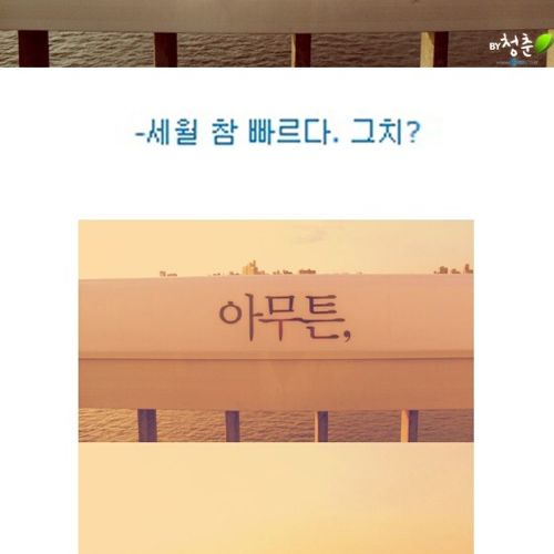 [스압]생명의 다리.jpg