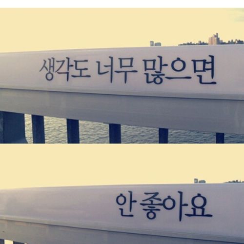[스압]생명의 다리.jpg