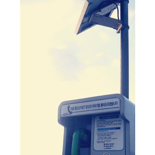[스압]생명의 다리.jpg