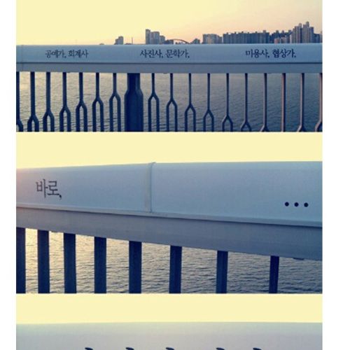 [스압]생명의 다리.jpg
