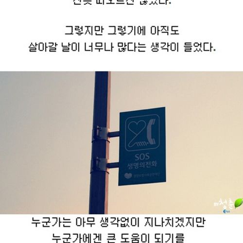 [스압]생명의 다리.jpg