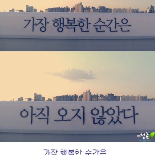 [스압]생명의 다리.jpg