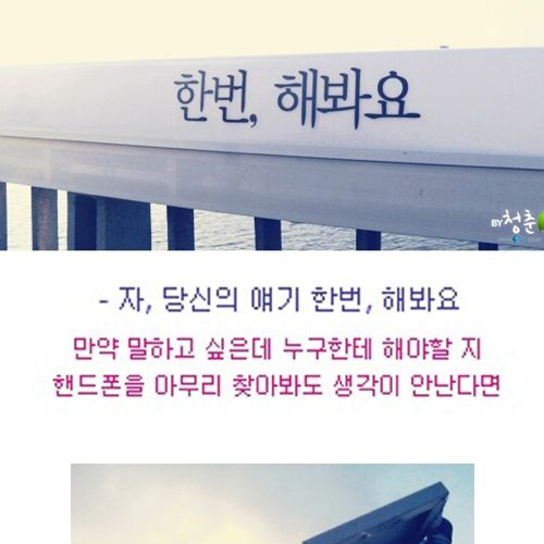 [스압]생명의 다리.jpg